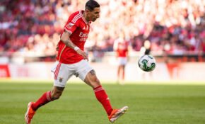 SL Benfica vs FC Arouca in Lisbon, Portugal - 12 May 2024